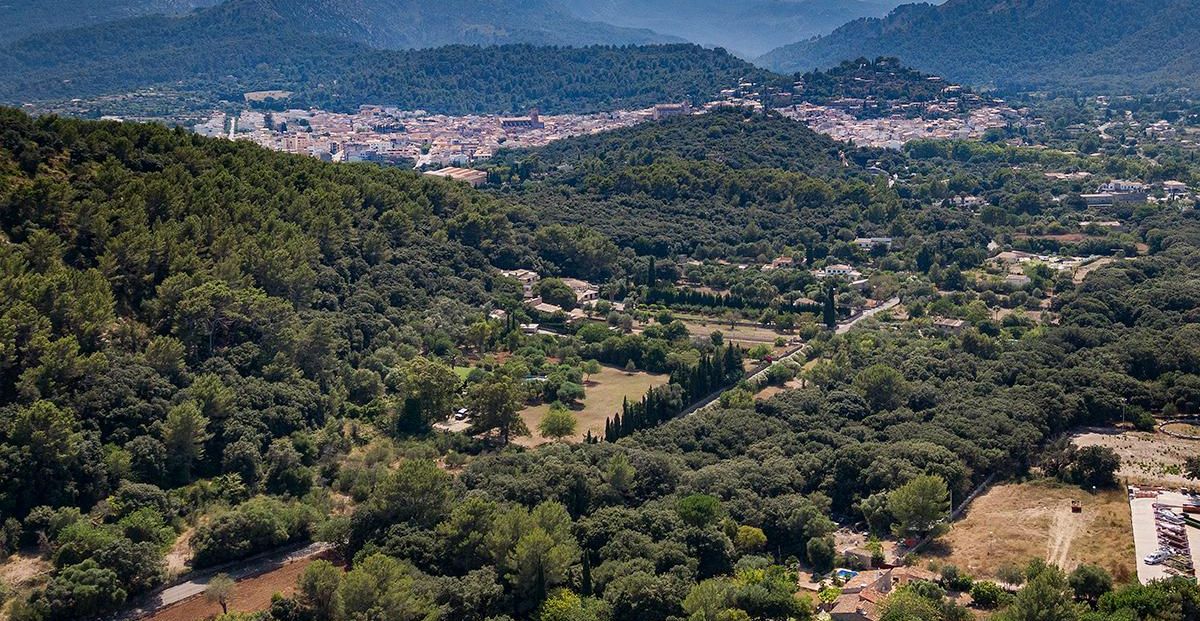 Aerial (1)