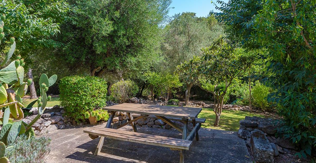 Garden (1)