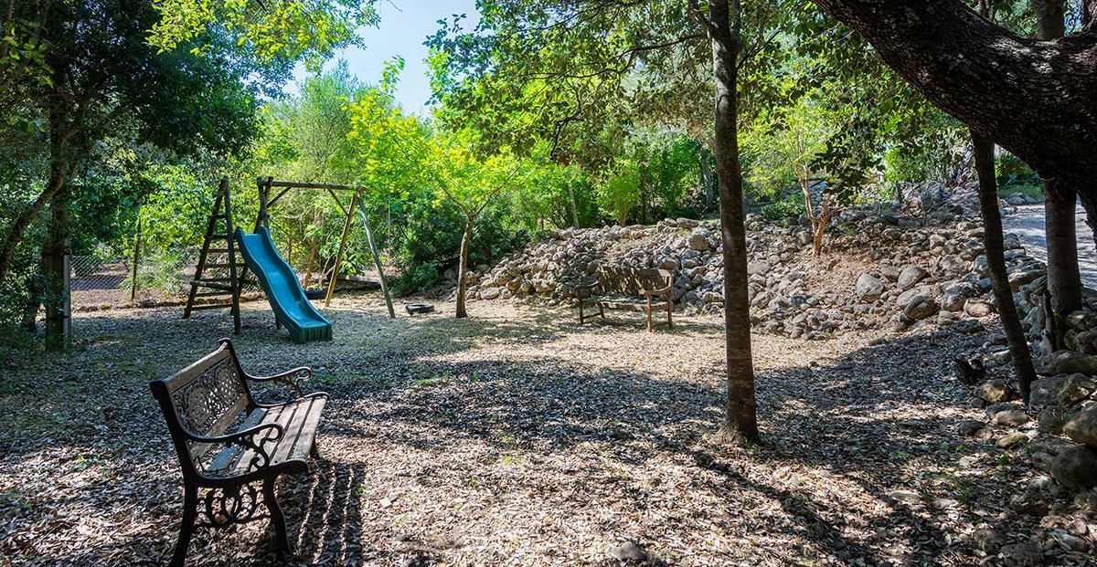 Play Area