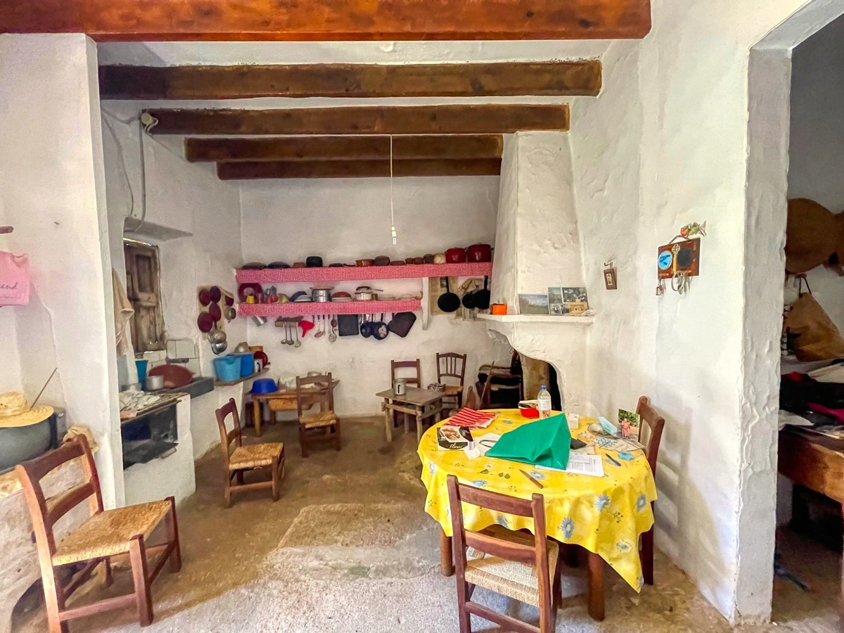 Finca-Rústica-auf-einem-großen-Grundstück-zur-Reform-in-Arta