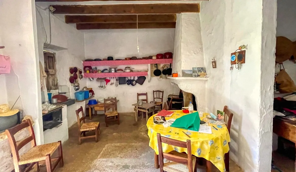 Finca-Rústica-auf-einem-großen-Grundstück-zur-Reform-in-Arta