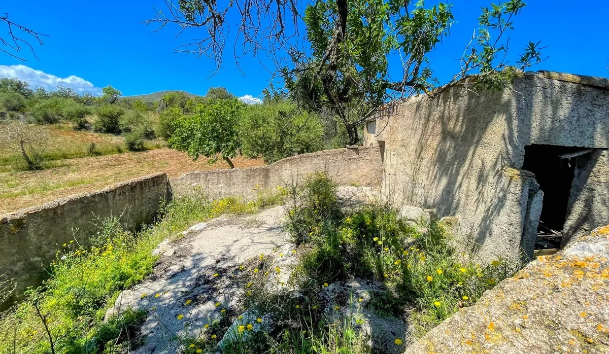 Finca-Rústica-auf-einem-großen-Grundstück-zur-Reform-in-Arta