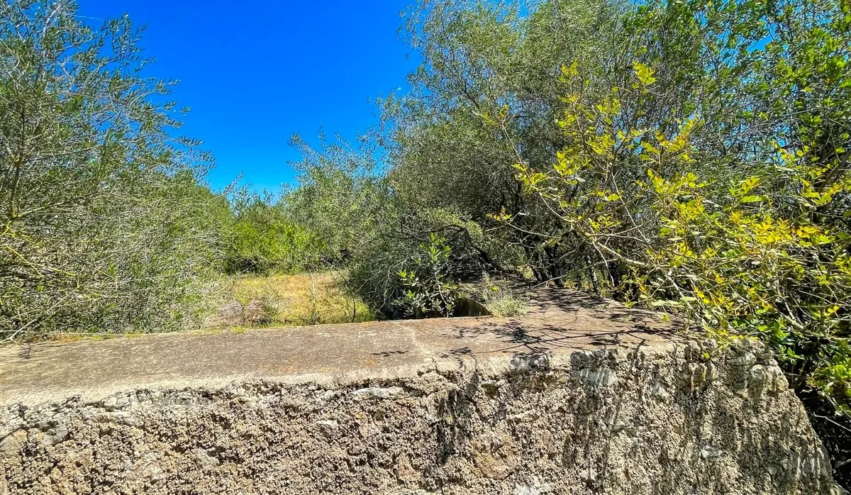 Finca-Rústica-auf-einem-großen-Grundstück-zur-Reform-in-Arta