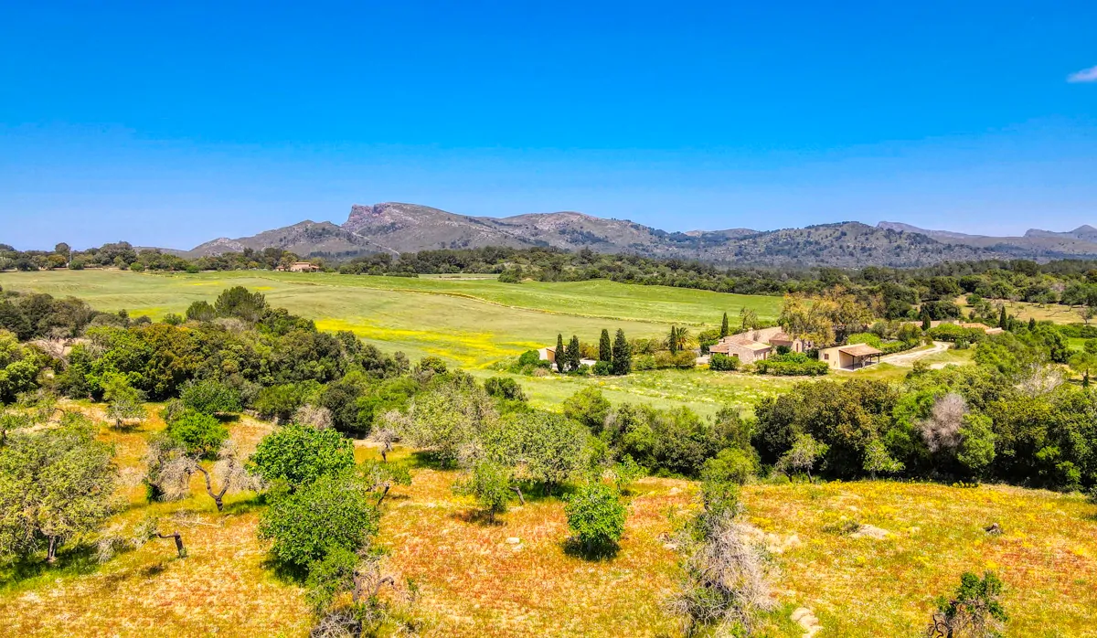 Finca-Rústica-auf-einem-großen-Grundstück-zur-Reform-in-Arta