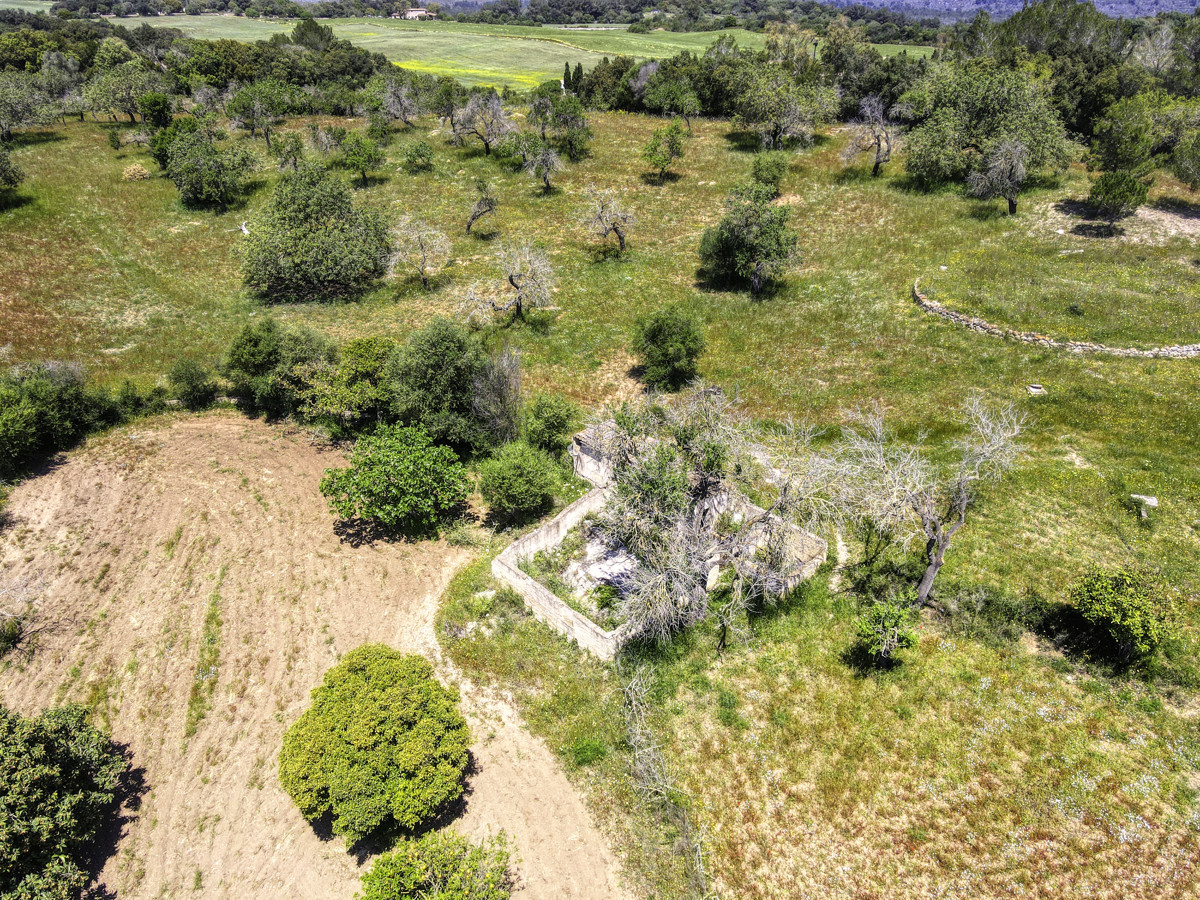 Finca-Rústica-auf-einem-großen-Grundstück-zur-Reform-in-Arta