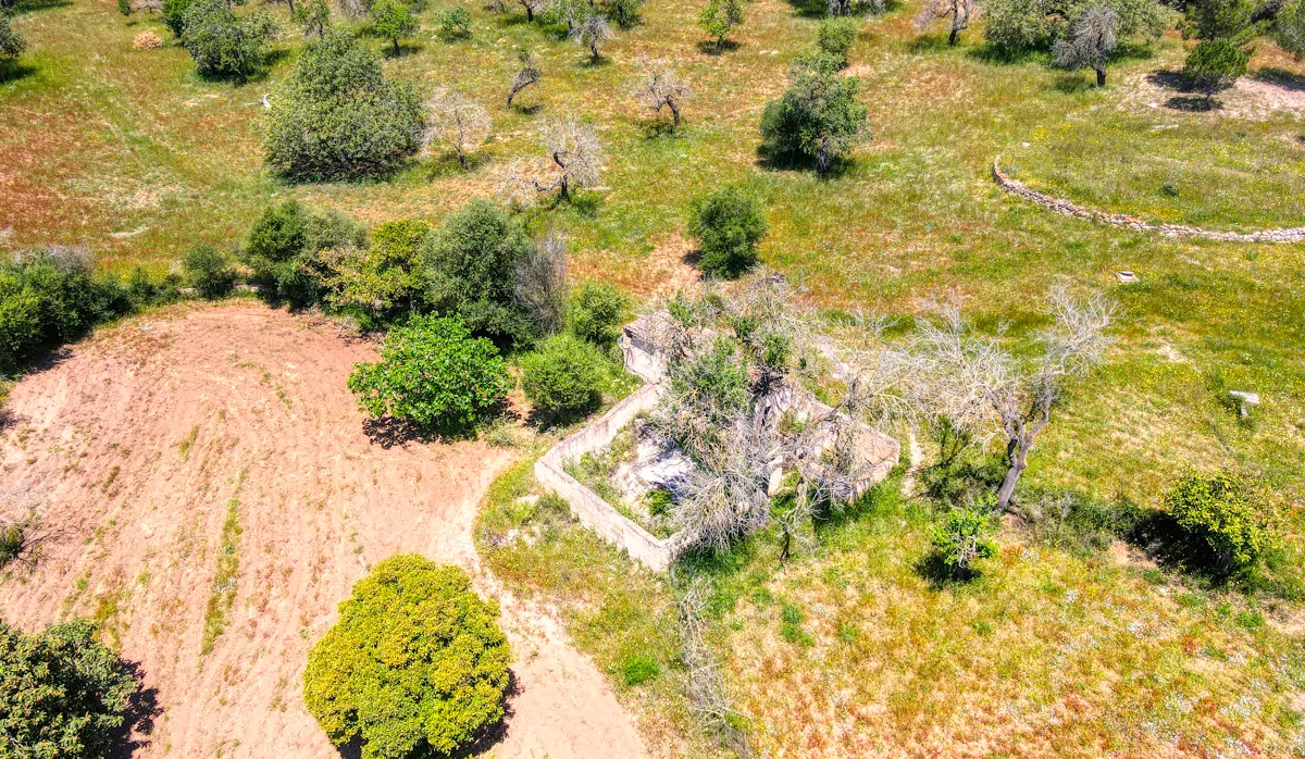 Finca-Rústica-auf-einem-großen-Grundstück-zur-Reform-in-Arta