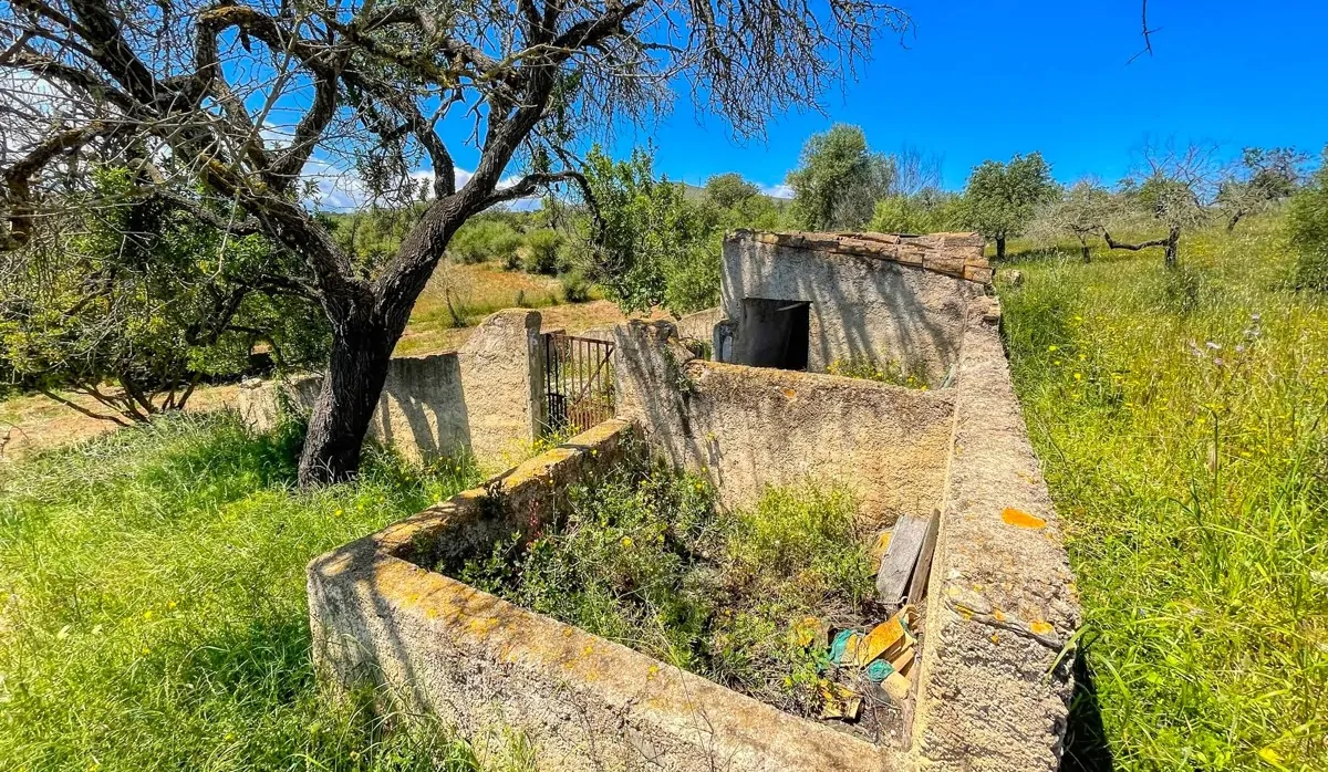 Finca-Rústica-auf-einem-großen-Grundstück-zur-Reform-in-Arta