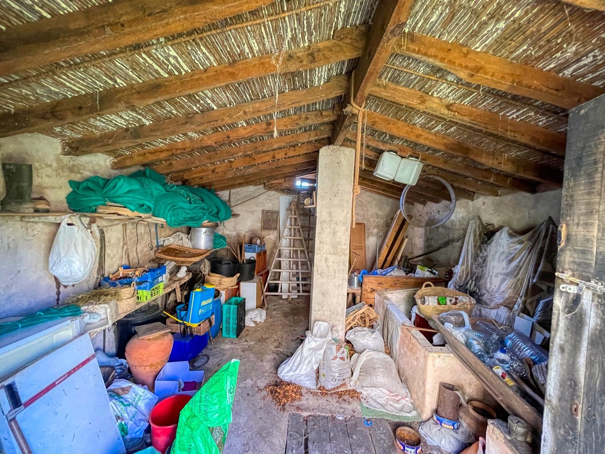 Finca-Rústica-auf-einem-großen-Grundstück-zur-Reform-in-Arta