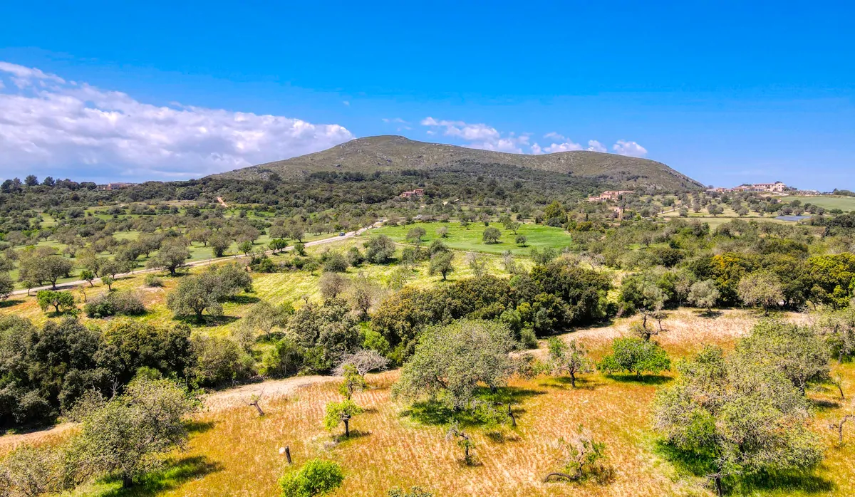 Finca-Rústica-auf-einem-großen-Grundstück-zur-Reform-in-Arta