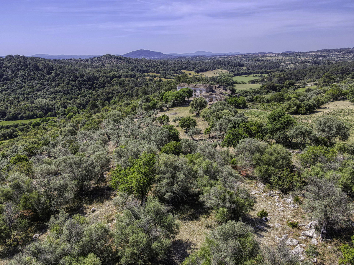 En venta fantástica Finca Histórica que data del siglo XIII en la Serra de Tramuntana en Campanet