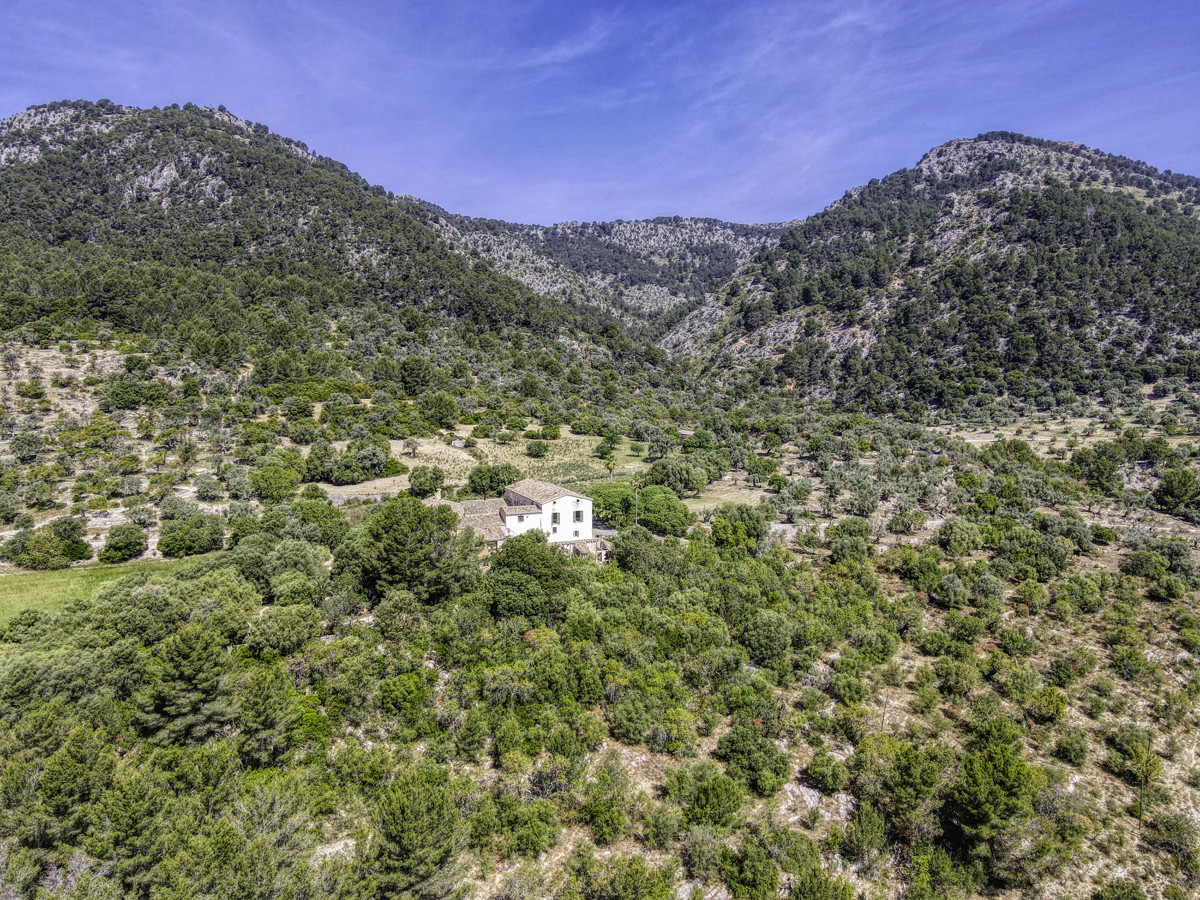 En venta fantástica Finca Histórica que data del siglo XIII en la Serra de Tramuntana en Campanet