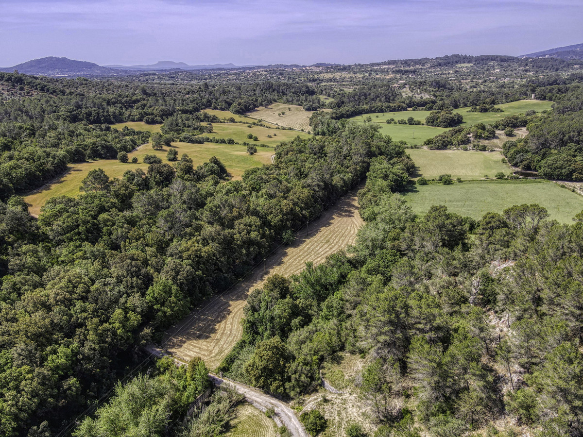 En venta fantástica Finca Histórica que data del siglo XIII en la Serra de Tramuntana en Campanet