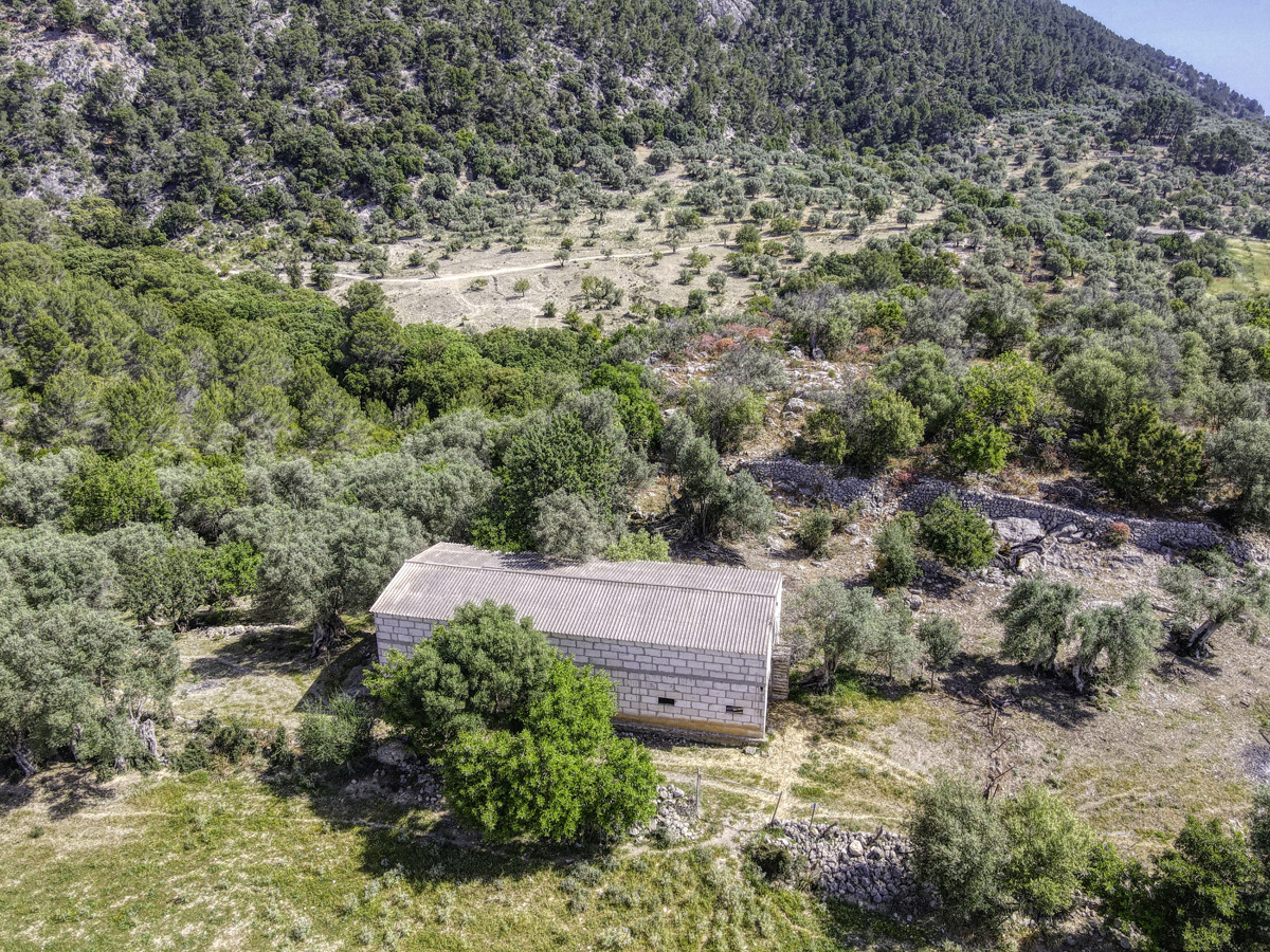 En venta fantástica Finca Histórica que data del siglo XIII en la Serra de Tramuntana en Campanet