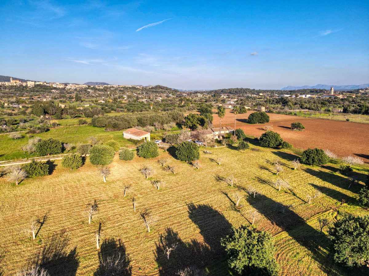 DJI_0413_43