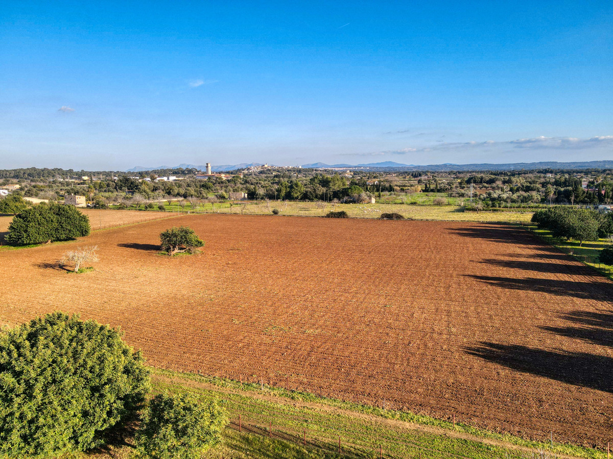 DJI_0420_50