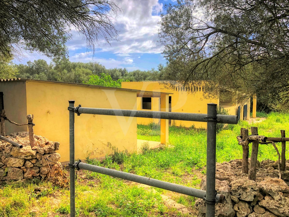 Zum Verkauf steht ein herrliches Landhotel aus dem 18. Jahrhundert in natürlicher Umgebung in Playa de Muro, Mallorca