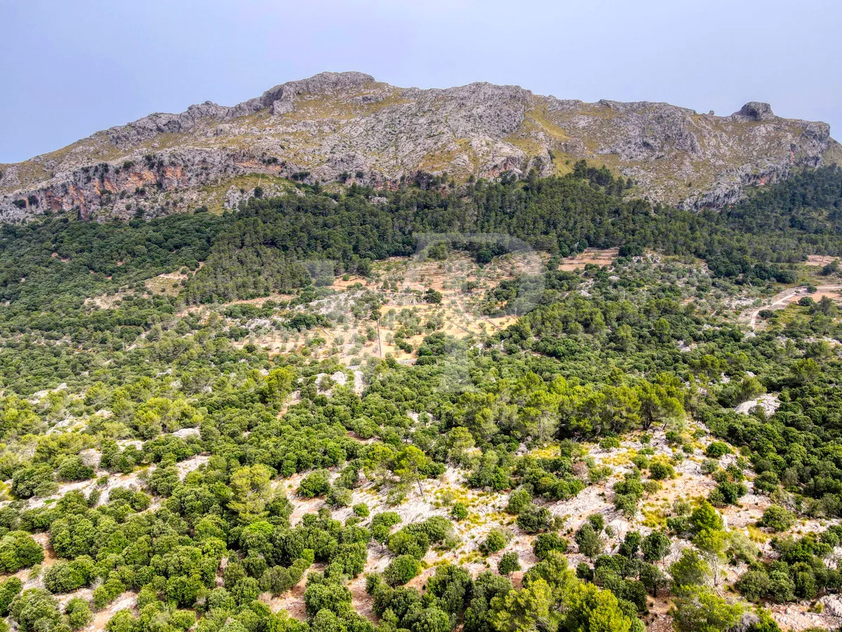 Fantastische historische Finca zum Renovieren auf 80 Hektar in der Serra de Tramuntana in Escorca