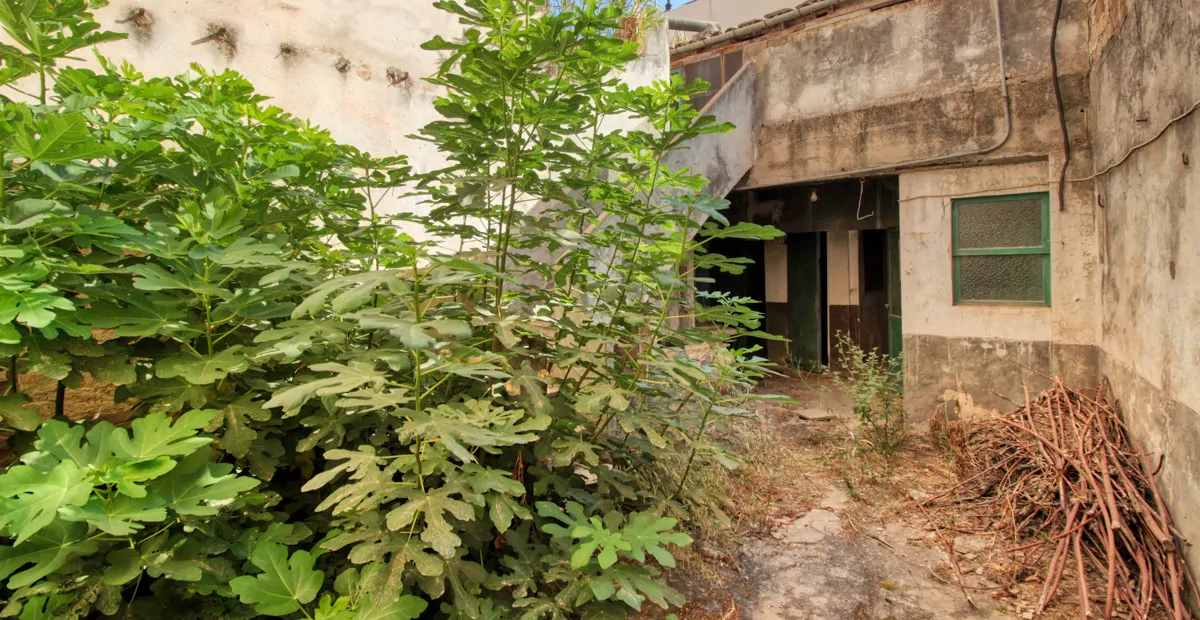 Historisches-Dorf-Haus-in-Pollensa-zu-reformieren