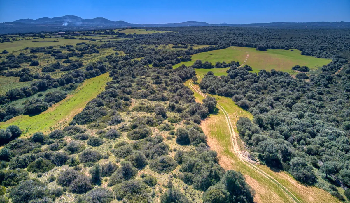 Historisches-Herrenhaus-mit-Seeblick-und-Bergen-bei-Son-Serra-Mari