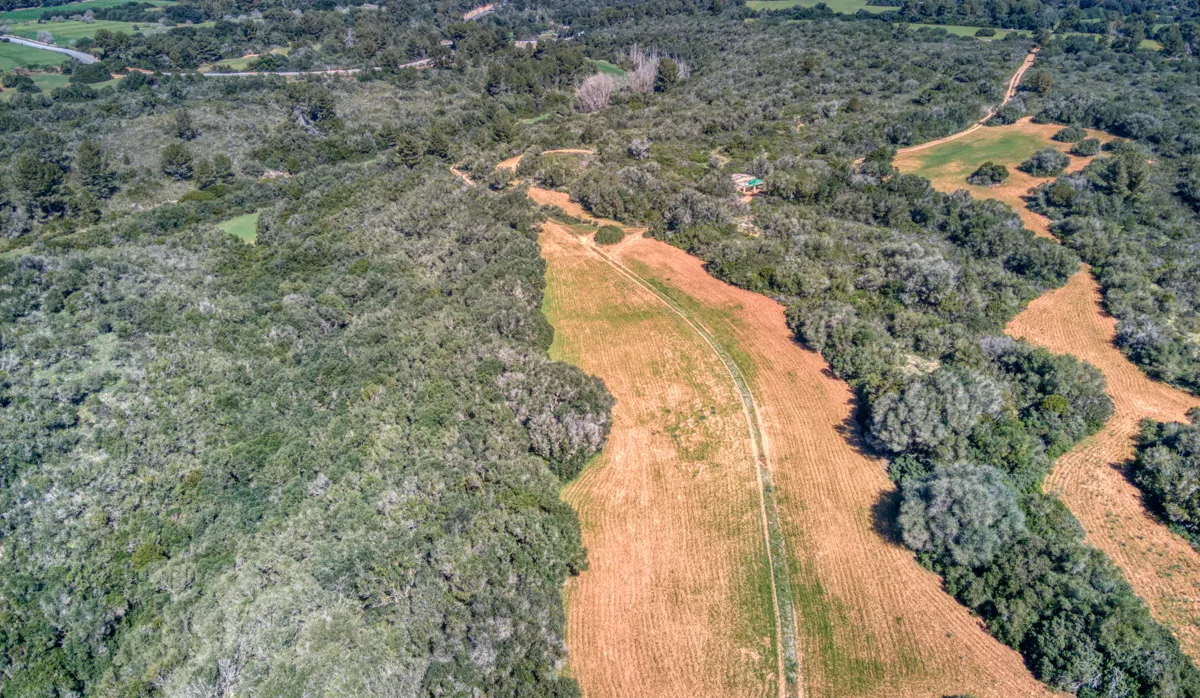 Historisches-Herrenhaus-mit-Seeblick-und-Bergen-bei-Son-Serra-Mari