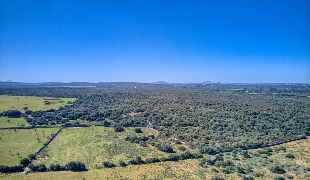 Historisches-Herrenhaus-mit-Seeblick-und-Bergen-bei-Son-Serra-Mari