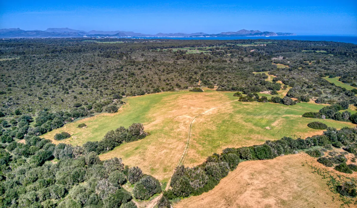 Historisches-Herrenhaus-mit-Seeblick-und-Bergen-bei-Son-Serra-Mari