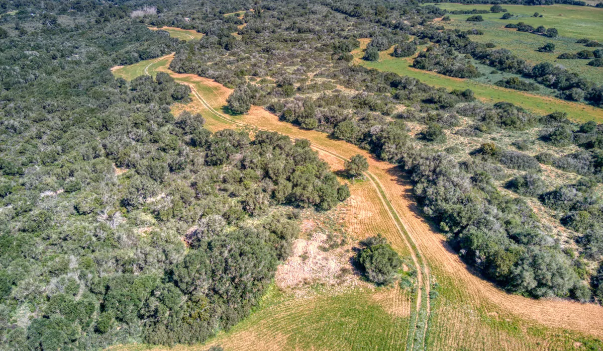 Historisches-Herrenhaus-mit-Seeblick-und-Bergen-bei-Son-Serra-Mari