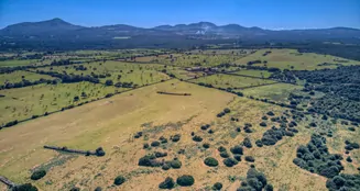 von_poll_real_estate_property_ES223766_image_22