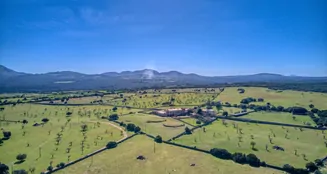 von_poll_real_estate_property_ES223766_image_19