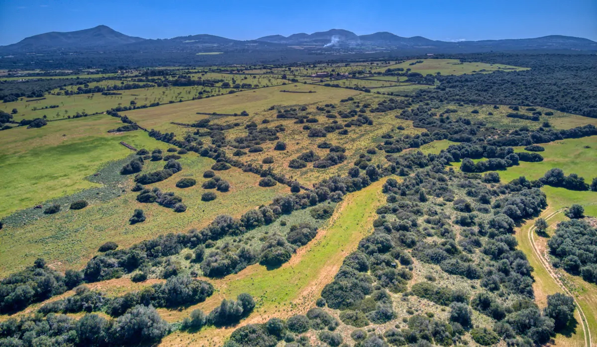 Historisches-Herrenhaus-mit-Seeblick-und-Bergen-bei-Son-Serra-Mari