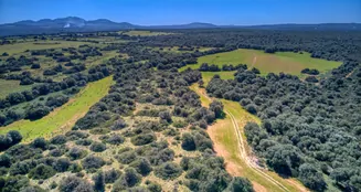 von_poll_real_estate_property_ES223766_image_81