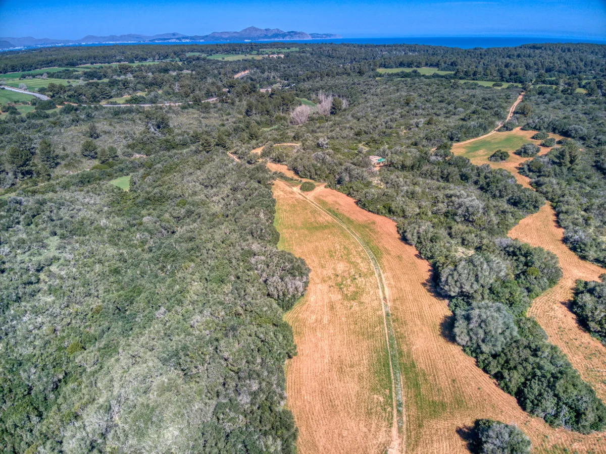 Historic-mansion-with-sea-views-and-mountains-near-Son-Serra-Mari