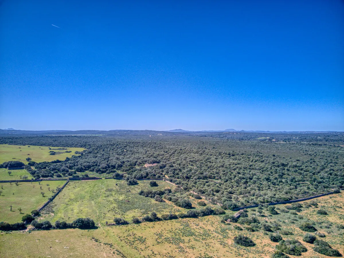 Historic-mansion-with-sea-views-and-mountains-near-Son-Serra-Mari