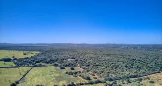 von_poll_real_estate_property_ES223766_image_76