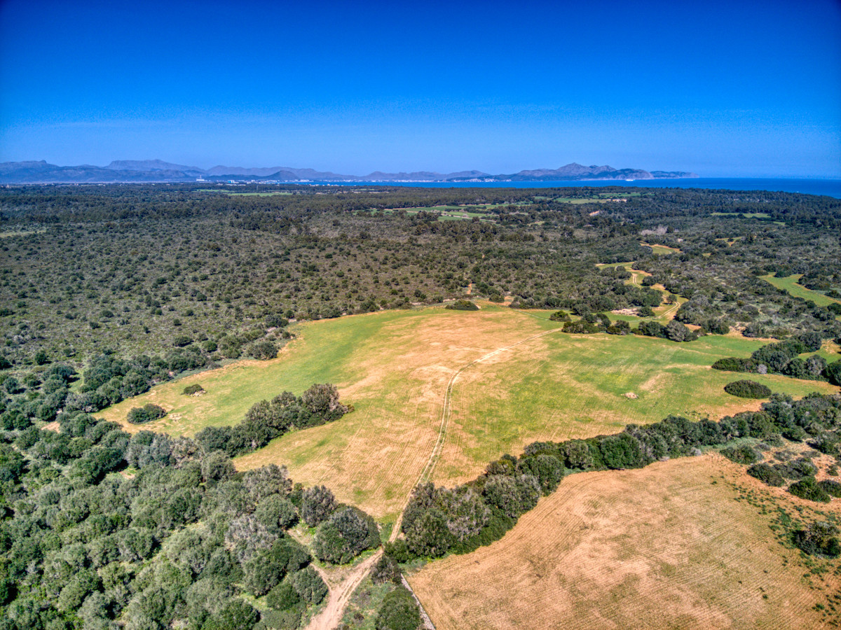 Historic-mansion-with-sea-views-and-mountains-near-Son-Serra-Mari