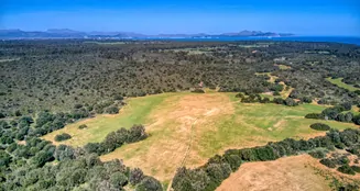 von_poll_real_estate_property_ES223766_image_83