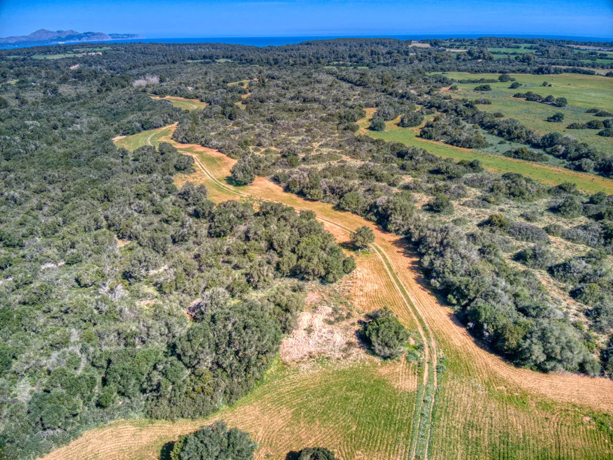 Historic-mansion-with-sea-views-and-mountains-near-Son-Serra-Mari