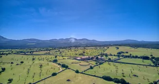 von_poll_real_estate_property_ES223766_image_75