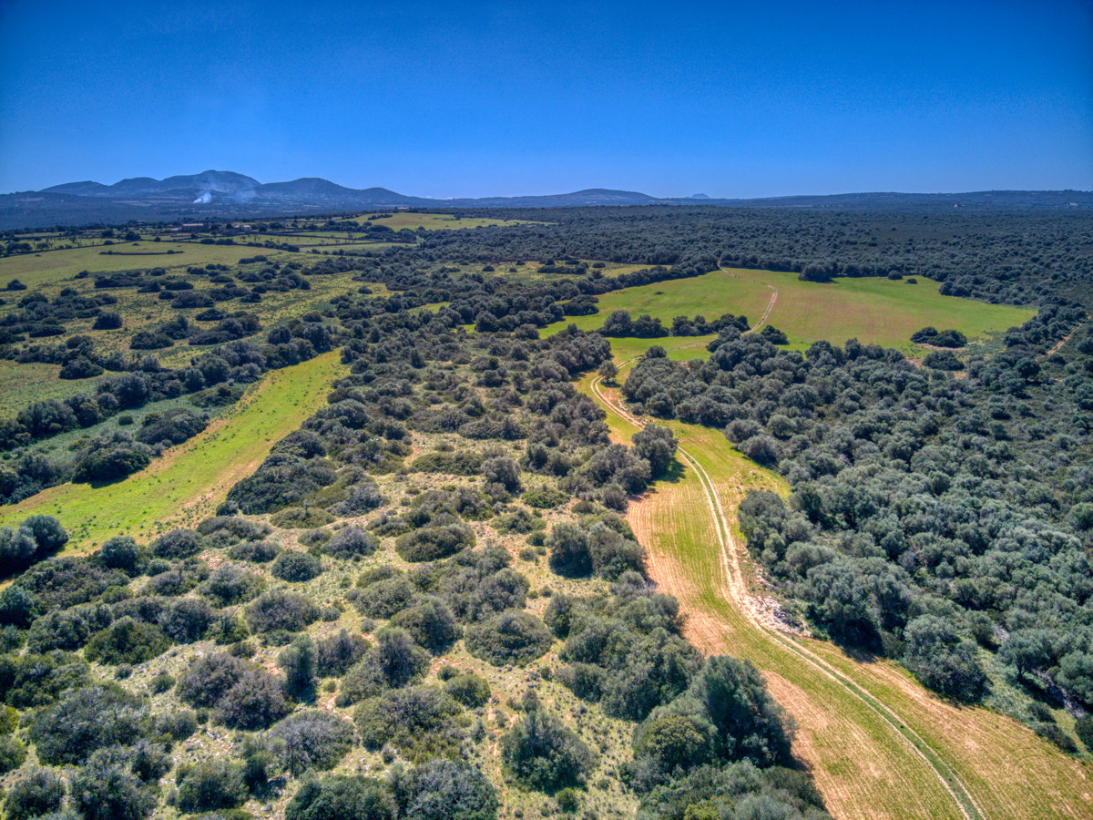 Histórica-mansión-con-vistas-al-mar-y-montañas-cerca-de-Son-Serra-Mari