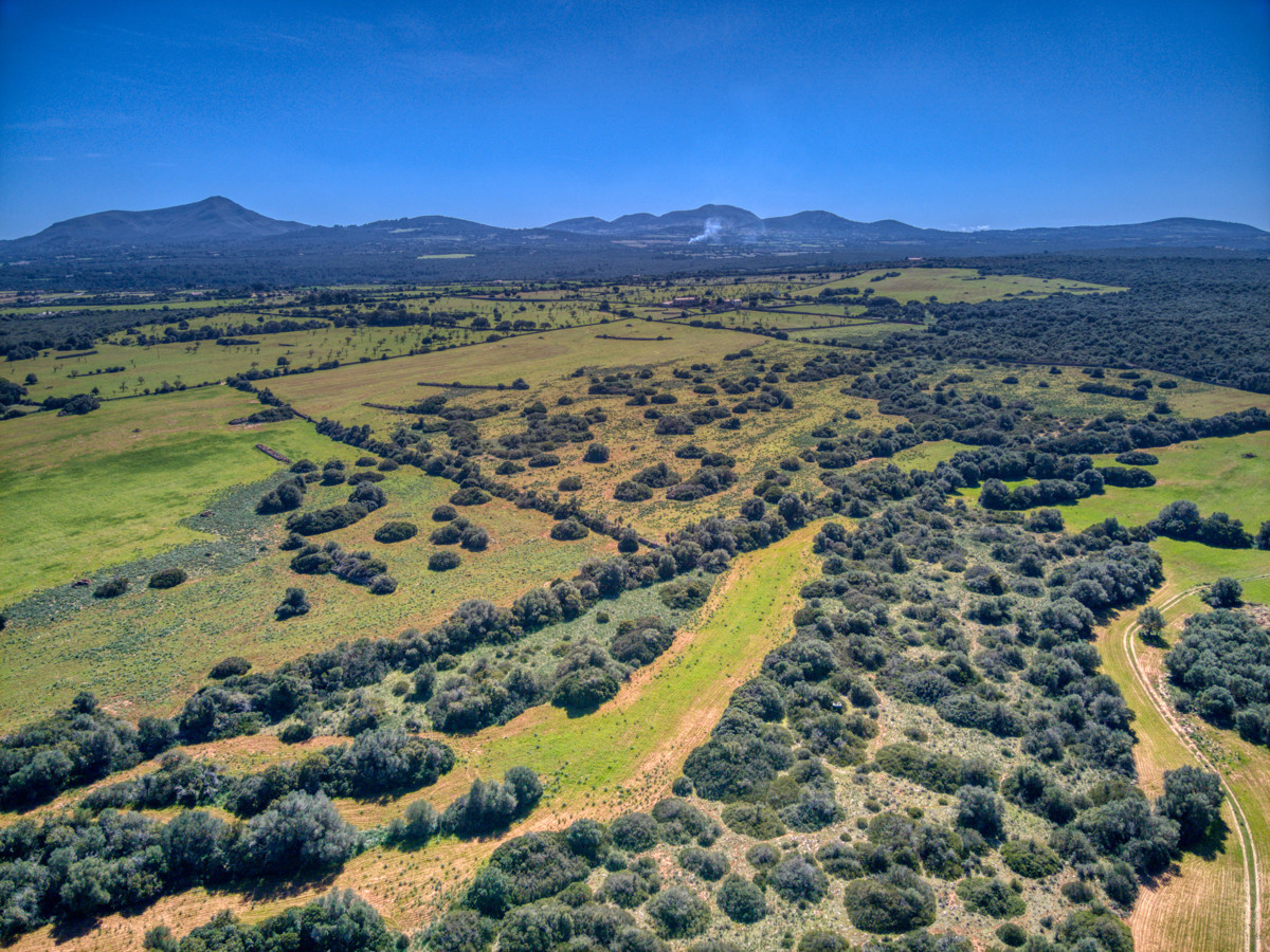 Histórica-mansión-con-vistas-al-mar-y-montañas-cerca-de-Son-Serra-Mari