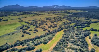 von_poll_real_estate_property_ES223766_image_54