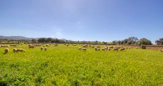 von_poll_real_estate_property_ES223766_image_33