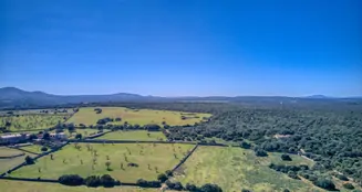 von_poll_real_estate_property_ES223766_image_49