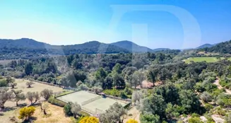 von_poll_real_estate_property_ES223974_image_53