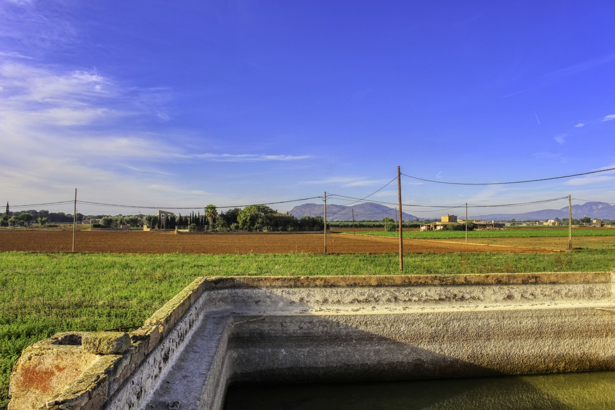 Gran-parcela-con-electricidad-y-agua-para-construir-en-Sa-Pobla-Mallorca