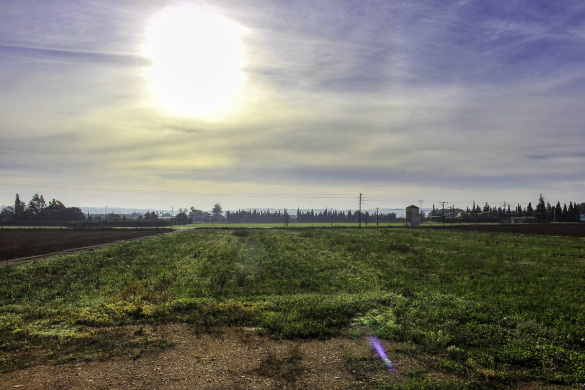Gran-parcela-con-electricidad-y-agua-para-construir-en-Sa-Pobla-Mallorca