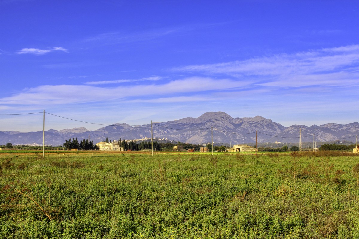 Gran-parcela-con-electricidad-y-agua-para-construir-en-Sa-Pobla-Mallorca