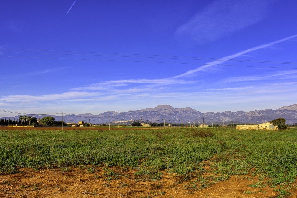 Gran-parcela-con-electricidad-y-agua-para-construir-en-Sa-Pobla-Mallorca