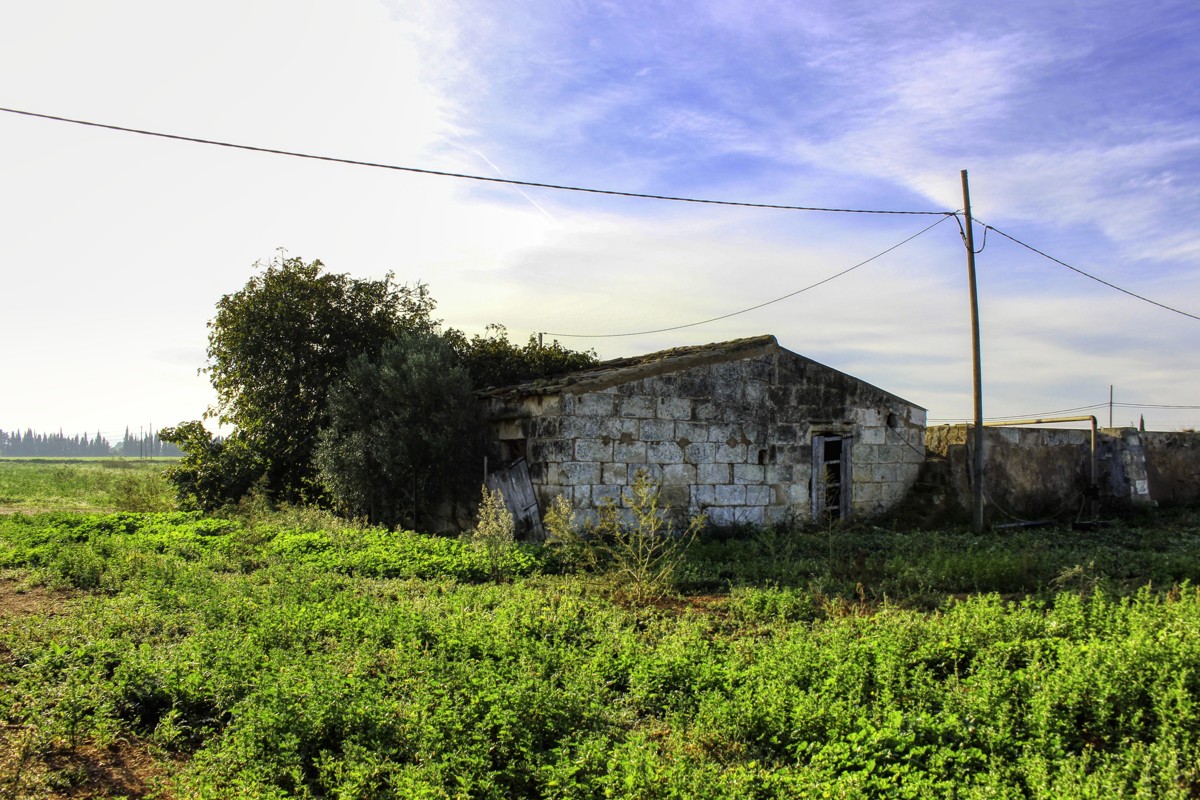 Gran-parcela-con-electricidad-y-agua-para-construir-en-Sa-Pobla-Mallorca