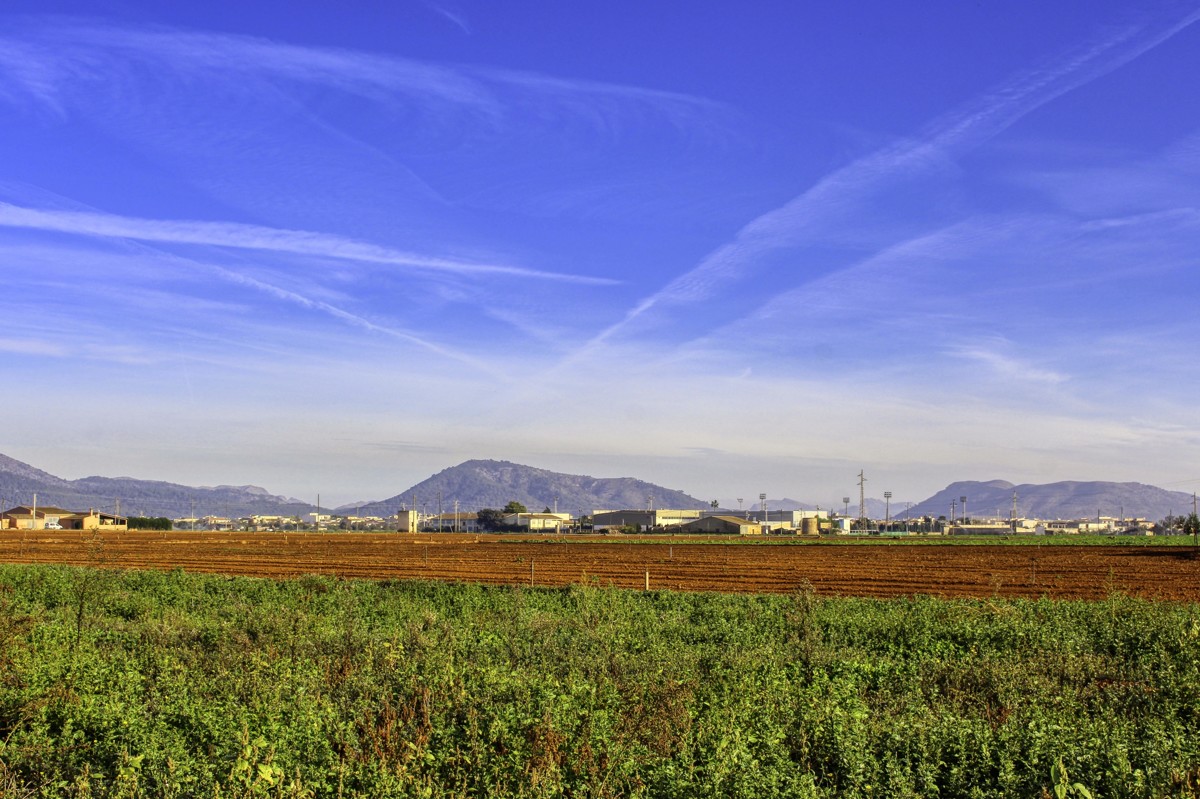 Gran-parcela-con-electricidad-y-agua-para-construir-en-Sa-Pobla-Mallorca